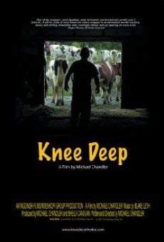 Knee Deep en ligne gratuit