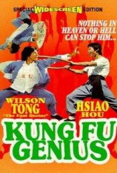 Le génie du kung fu