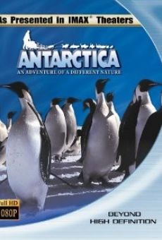 Antartica, prisonniers du froid en ligne gratuit