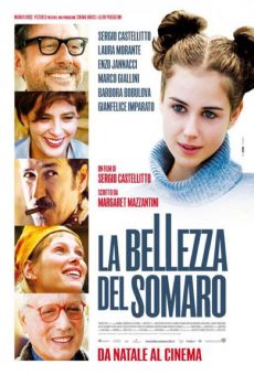 La bellezza del somaro on-line gratuito