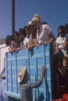 La cosecha de mujeres (1981)