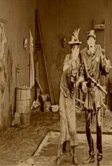 The Detectress (1919)