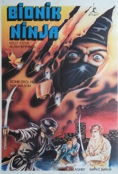 Ninja Assassins online streaming