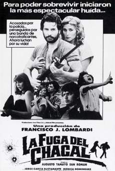 La fuga del chacal (1987)