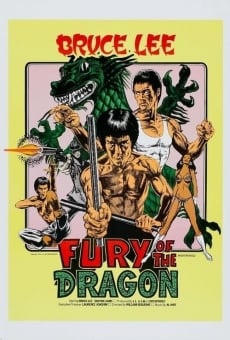Fury of the Dragon on-line gratuito