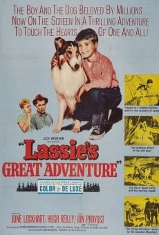 Película: La gran aventura de Lassie
