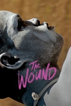 The Wound online streaming