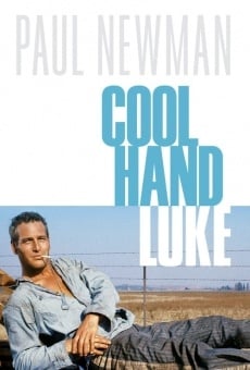 Cool Hand Luke online free