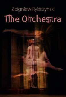 The Orchestra online streaming