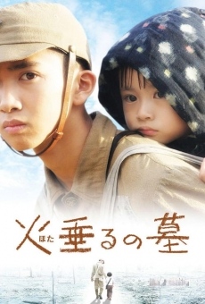 Hotaru no haka (2008)
