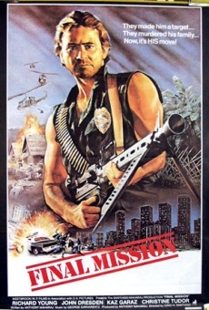 Final Mission (1984)