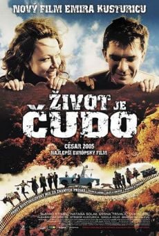 Zivot je cudo (2004)