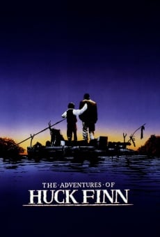 Película: Las aventuras de Huckleberry Finn