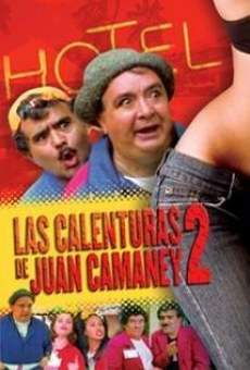 Las calenturas de Juan Camaney II (1989)