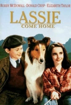 Torna a casa Lassie! online streaming
