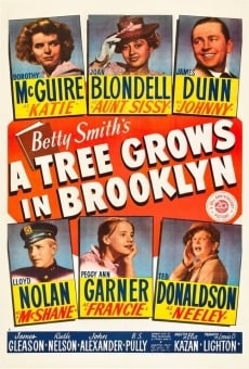 A Tree Grows in Brooklyn on-line gratuito