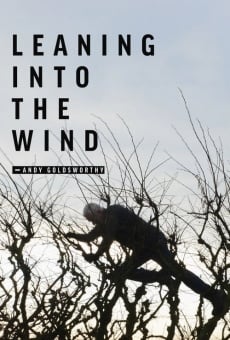 Película: Leaning Into the Wind: Andy Goldsworthy