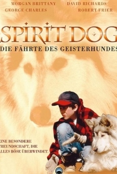 Película: La leyenda de un perro llamado Espíritu