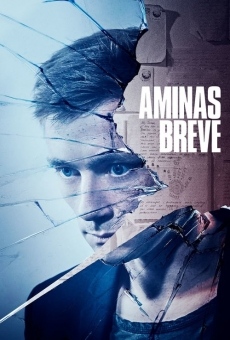 Aminas breve (2017)