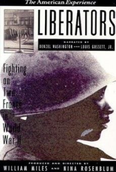 Liberators: Fighting on Two Fronts in World War II on-line gratuito