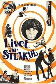Livet är stenkul (1967)