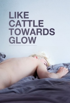 Película: Like Cattle Towards Glow