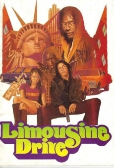 Limousine Drive online streaming