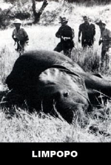 Limpopo (1970)