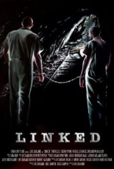 Linked (2013)