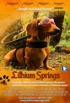 Lithium Springs online streaming