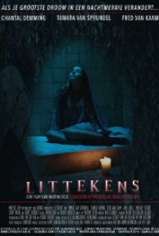 Littekens, película en español