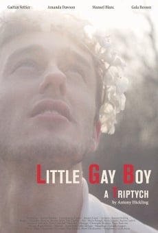 Little Gay Boy online free