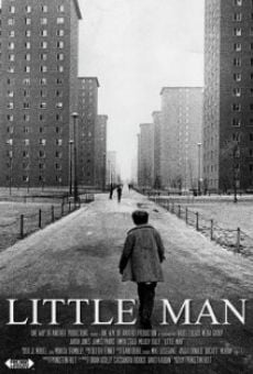 Little Man, película en español