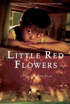 Película: Little Red Flowers