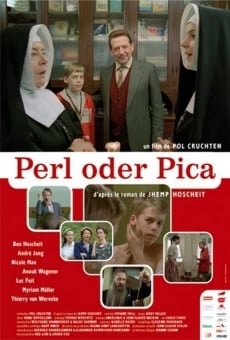 Perl oder Pica online