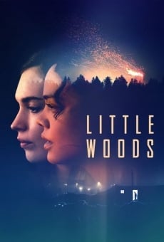Little Woods online streaming