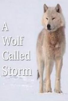 A Wolf Called Storm (The Natural World) (2012)