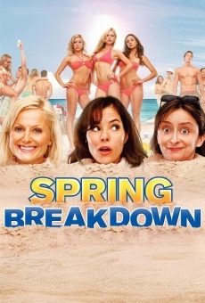 Spring Breakdown online streaming
