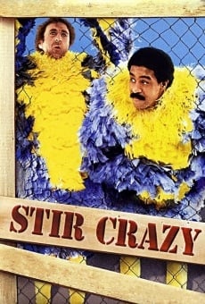 Stir Crazy (1980)