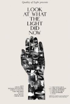 Look at What the Light Did Now online streaming