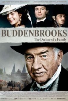 Les Buddenbrook, le déclin d'une famille