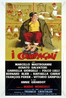 I compagni online streaming
