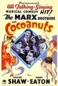 The Cocoanuts on-line gratuito