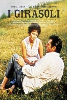 Película: Los girasoles