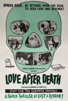 Love After Death online streaming