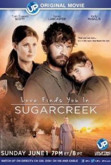 Película: Un extraño en Sugarcreek