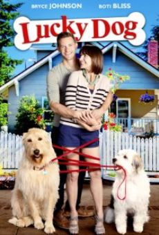 Lucky Dog (2015)