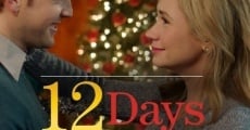 12 Days of Giving film complet