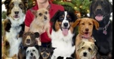 12 Dog Days of Christmas film complet