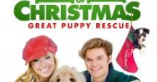 12 Dogs of Christmas: Great Puppy Rescue film complet